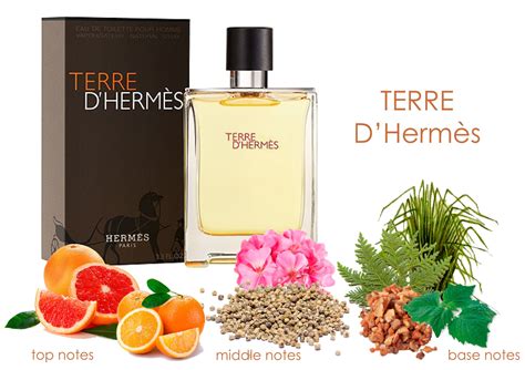 terre d'hermes ingredients